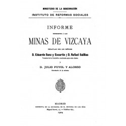 Informe referente a las minas de Vizcaya