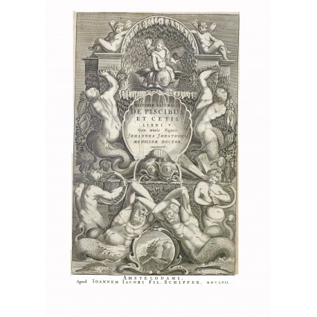 Historiae Naturalis tomo 5