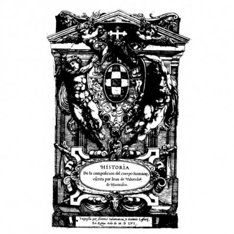 Historia de la composición del cuerpo humano